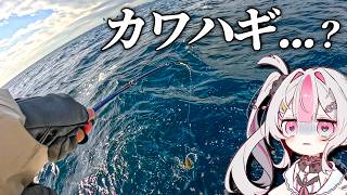 【初心者釣り女子】初めて乗合船でカワハギ釣りしたらドデカ〇〇が釣れた【桃川ニジマス/うおむすめ】