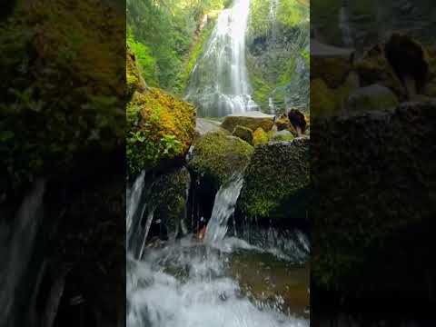 #travel