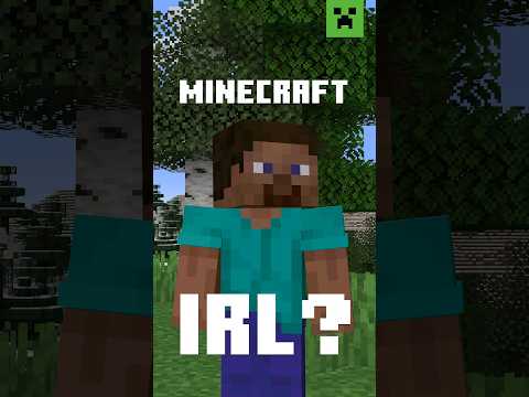 How would it be to play Minecraft in real life?