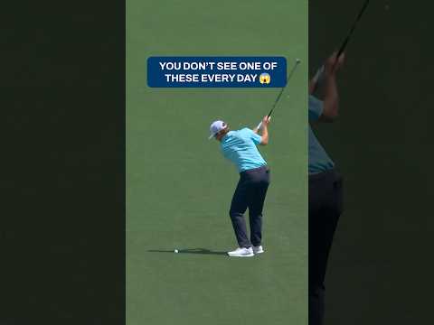 A 258-yard albatross! 🤯