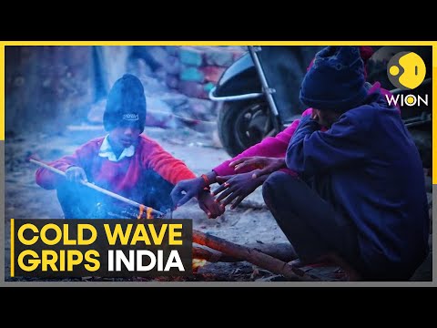 India: Kashmir Shivers As Intense Cold Wave Tightens Grip | World News | WION