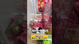 動画サムネイル