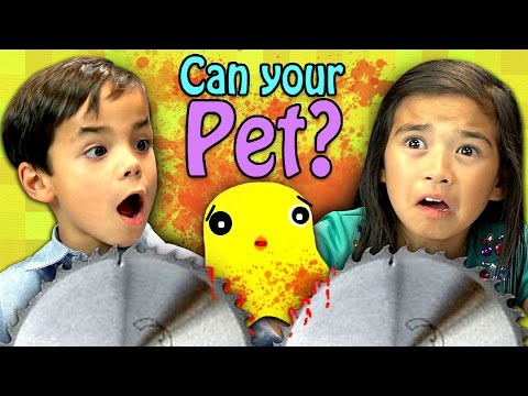 CAN YOUR PET? (Kids React: Gaming) - UCHEf6T_gVq4tlW5i91ESiWg