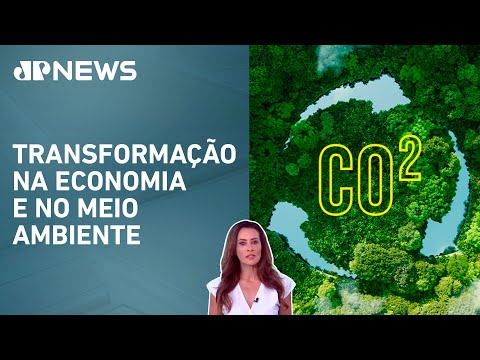 Brasil sanciona marco do mercado de carbono; Patrícia Costa analisa