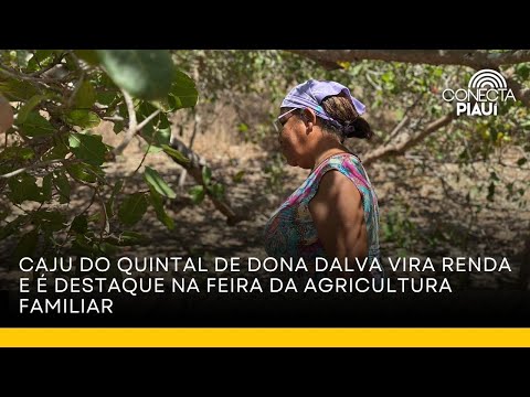 Caju do quintal de dona Dalva vira renda e é destaque na Feira da Agricultura Familiar