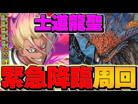 【緊急降臨】士道龍聖をネロミェールで１分台周回！絶対に確保しよう！性能&代用&立ち回り解説！これ組めばOK!【パズドラ】