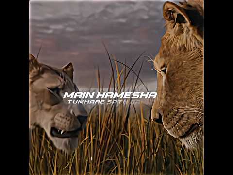 Maa ka Pyaar | Taka ki Maa ka Emotional Dialogue#Taka #Mufasa#sadscene #MaaKaPyar#EmotionalScene