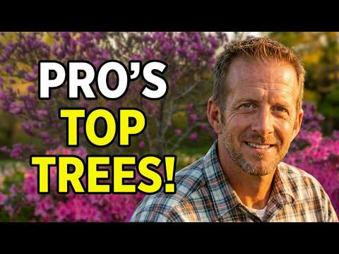10 Trees I'll ALWAYS Use After 25 Years of Landscaping