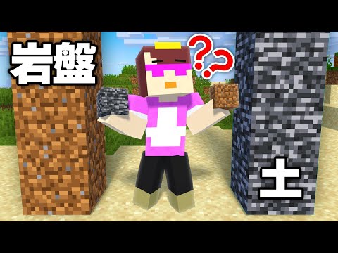 ブロックの見た目を入れ替えたら騙される?【まいくら / マインクラフト】