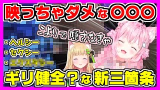 【#holoGTA /ホロライブ切り抜き】こよりが映っちゃダメな〇〇〇を映し、コヨガードで隠そうするw新キャッチコピー三箇条で問題発言w【博