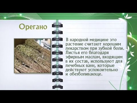 Кулинарная энциклопедия - Орегано - UC7XBjhXnmmXFsxmnys9PmDQ