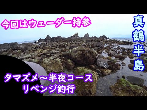 【真鶴】ウェーダー着用で夕方～半夜のリベンジ釣行【2025年4月下旬】