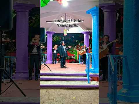 #mariachi #mexico #music #shortsmusic #musicaregional #mariachis #mariachienvivo #tradiciones