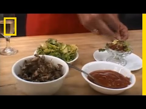 Eating Insects | National Geographic - UCpVm7bg6pXKo1Pr6k5kxG9A