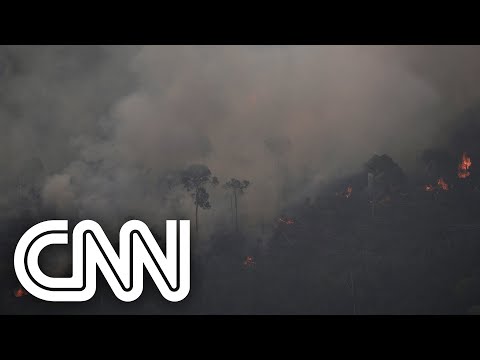 Levantamento aponta maior número de queimadas em junho na Amazônia desde 2007 | JORNAL DA CNN
