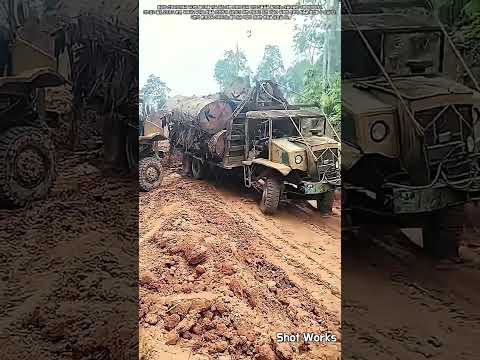 극한의 오프로드 통나무 운송 작업 #worker #<strong>process</strong> #timber #mud #transport