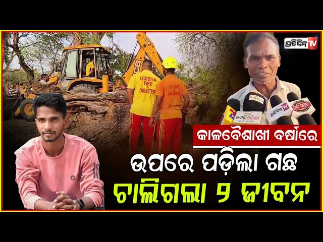 ହଠାତ୍ ଚଳନ୍ତା ଅଟୋରେ ପଡ଼ିଲା ଗଛ, ଚାଲିଗଲା ୨ଜଣଙ୍କ ଜୀବନ!tree falls on auto while driving 2 killed