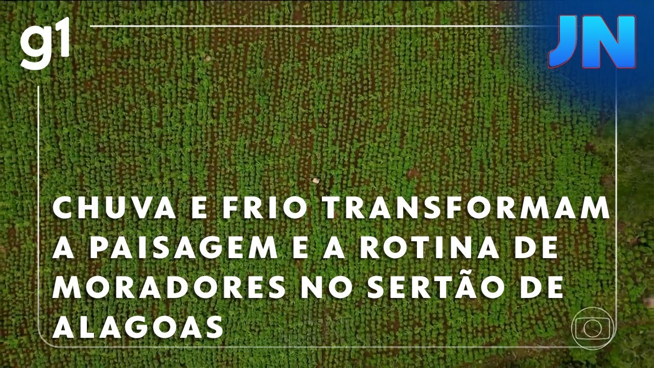 Jornal Nacional: Chuva e frio transformam a paisagem e a rotina de moradores no Sertão de Alagoas