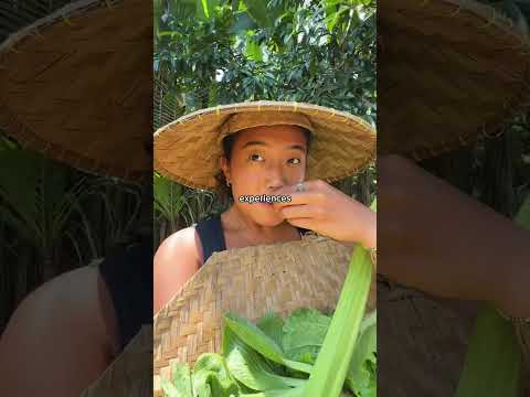 POV you learned to make a 6 course meal in the cooking class you booked in Bali with @bonniengaii