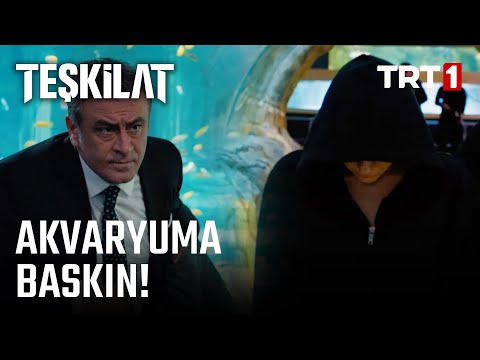 Çocukların Da Bulunduğu Akvaryumda Çatışma Çıkıyor! - Teşkilat 43. Bölüm