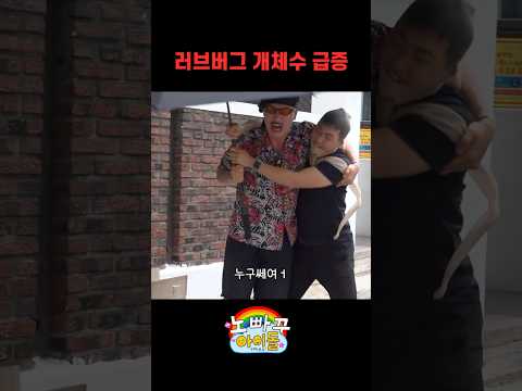 러브버그 개체수 급증