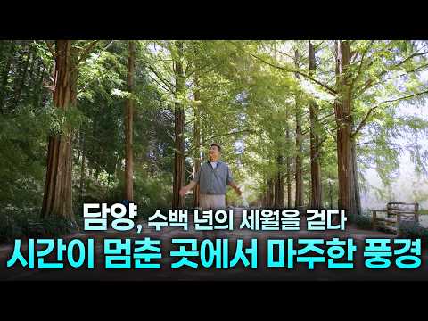 찬란한 시간을 걷는 길 담양, 120년 전통 떡갈비부터 죽녹원까지 완벽한 가을 힐링여행! ㅣ테마기행길ㅣ20261009 방송
