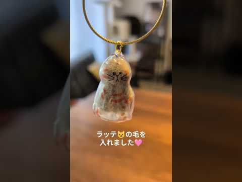 猫の動画サムネイル - TEMUで猫の毛を入れるやつ買いました。#アメリカンショートヘア #アメショ #アメショー #猫と暮らす家 #猫との暮らし