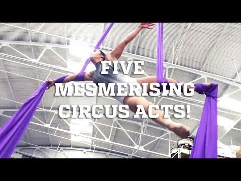 Five Mesmerizing Circus Arts! - UCIJ0lLcABPdYGp7pRMGccAQ