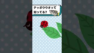 テッポウウオって知ってる？#都音ゆずたみ #shorts #vtuber