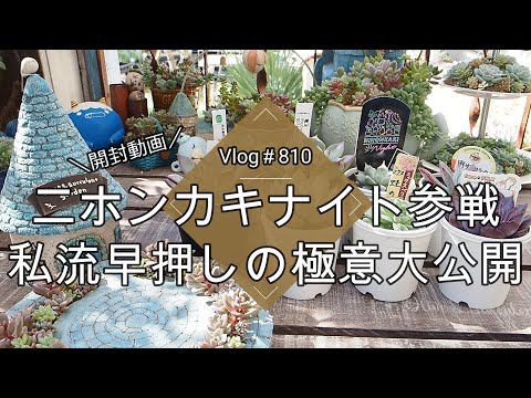 【Vlog810】【多肉植物】ネットで多肉狩り開封動画📦#ニホンカキナイト 参戦🎪私流の早押しの極意大公開【日本花キ流通さん】【植え替えどうする?】