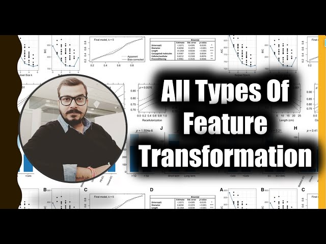 Data Transformation Techniques in Machine Learning