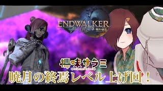 【 #ff14 暁月の終焉】暁月ロールクエに備えてレベル上げする！ #13.3【VTuber/柵味サラミ】