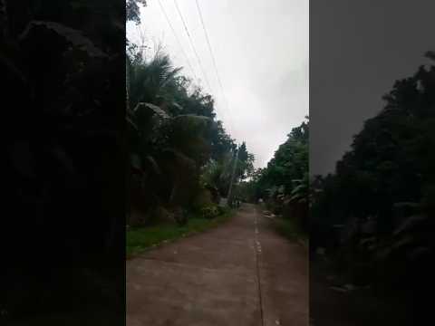 Biyahe #nature #naturelover #naturephotography #roadtrip #youtubeshorts