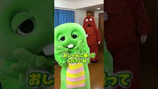 写真撮ってもいいですか？#shorts #tiktok #写真撮ってもいいですか