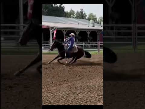 Made it through the poles🤗 #blowup #horse #rodeohorse #polebending #rodeolife #barrelhorse #fyp #❤️