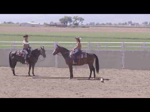 Cody Crow: Green Ranch Horse Sidepass
