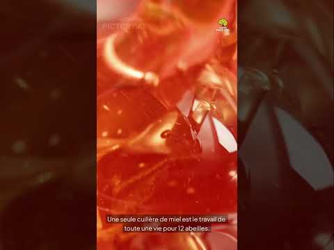 Faits Insolites n° 32 #faitsinsolites#leSavaisTu #incroyableMaisVrai#funfact#shorts