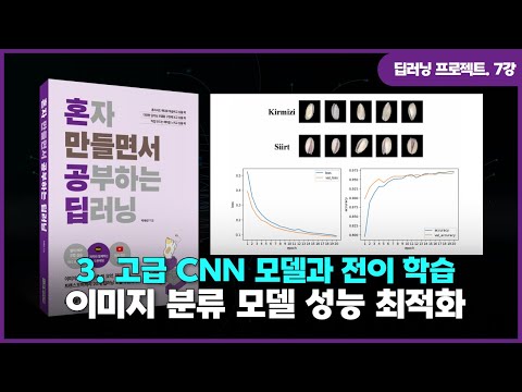 [딥러닝 프로젝트] 7강. 고급 CNN 모델과 전이 학습 | ②이미지 분류 모델의 성능 최적화하기