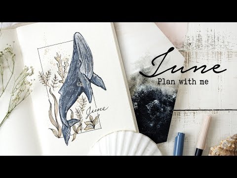 Plan with me | June 2018 Bullet Journal Setup | Magic Under the Sea