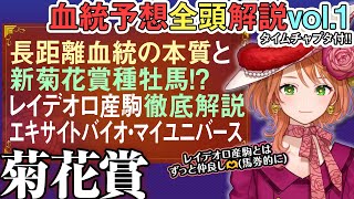 菊花賞 2025 長距離血統の本質とは!?レイデオロ産駒は令和のダンスインザダーク！全馬血統解説vol.1 #四条大学血統ゼミ🏇🧬 #エキサ