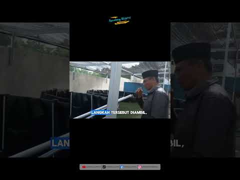 BUMDes Licin Fokus Pada Bioplok dan Penanaman Labu
