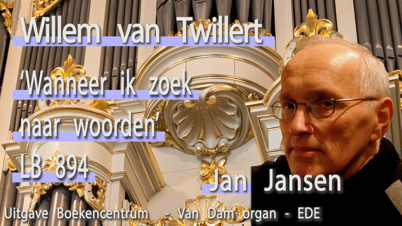 Video Willem Van Twillert