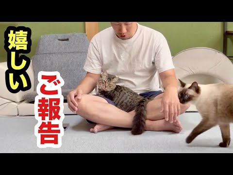 保護子猫の嬉しいご報告があります