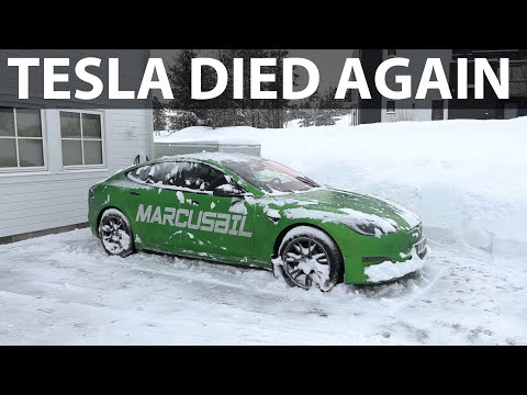 Tesla Model S Plaid died in the cold