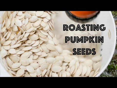 Roasting Pumpkin Seeds - From Beginning to End