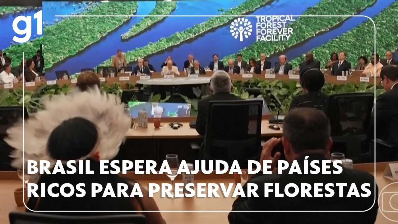 Brasil espera ajuda de países ricos para proteger florestas