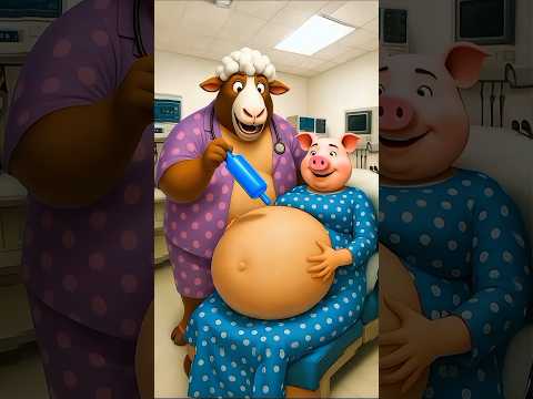 ⚡Evolution of animal: goat doctor in the room with the pregnant mother pig #shorts