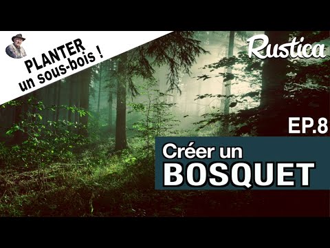 Créer un bosquet – 8 : Planter un sous-bois