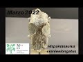 Imagen de la portada del video;Marzo 2022 - Hispaniasaurus cranioelongatus
