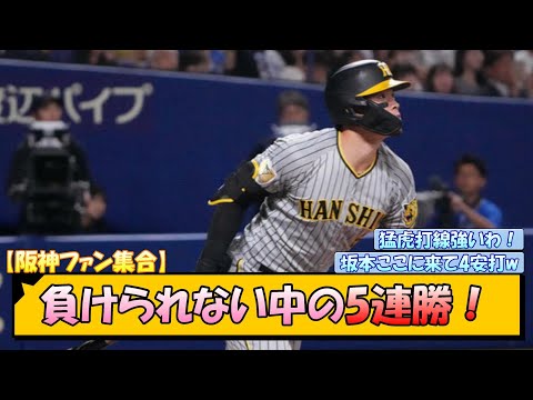 【阪神ファン集合】負けられない中の5連勝！【なんJ/2ch/5ch/ネット 反応 まとめ/阪神タイガース/岡田監督/村上頌樹/中日ドラゴンズ/佐藤輝明/前川右京/坂本誠志郎】